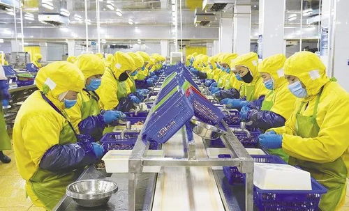 新風口新賽道上的拼搶和吶喊 我市預(yù)制菜企業(yè)發(fā)展一線觀察