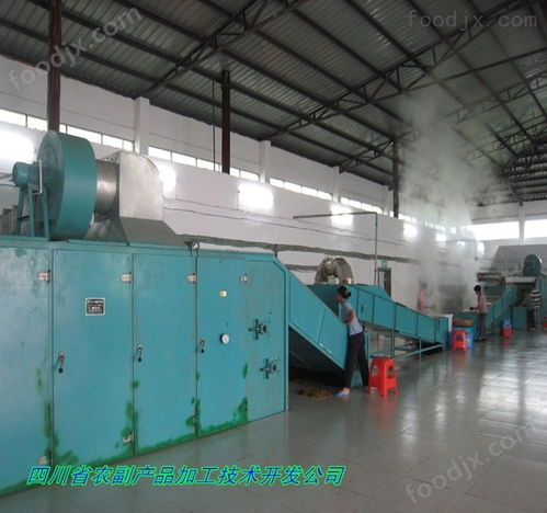 高良姜烘干機與電熔鎂生產(chǎn) 良姜快速干燥的關鍵設備
