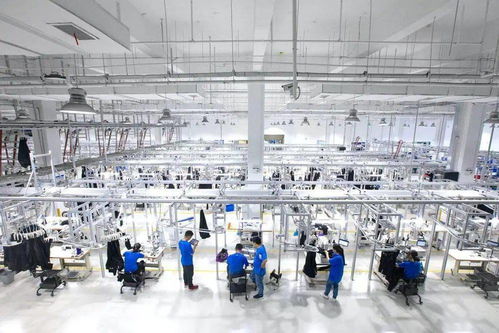 犀牛工廠 阿里“新制造”的數(shù)字化革命，并非電熔鎂生產(chǎn)